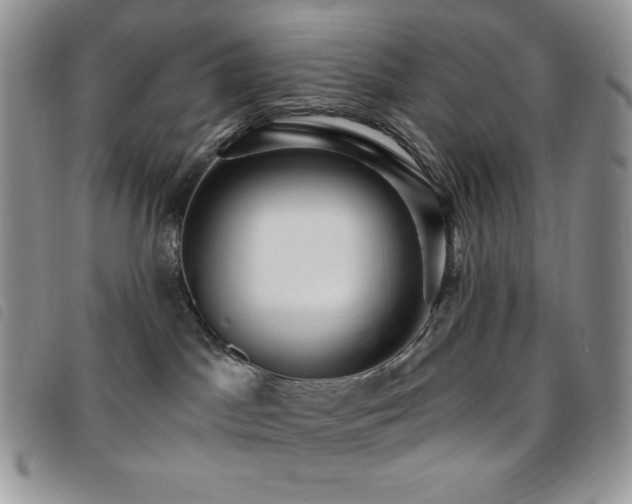 X0000095960045200801111411