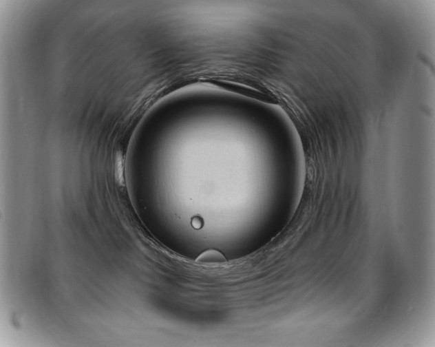 X0000095960046200801111411