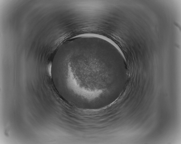 X0000095960047200801111411