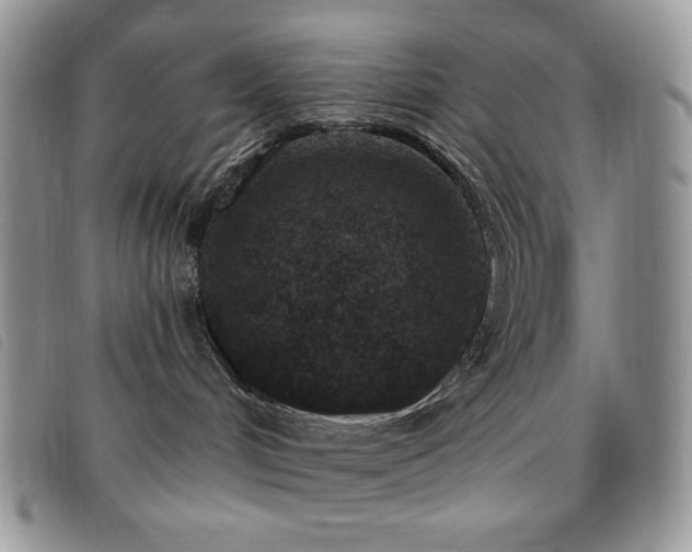 X0000095960048200801111411