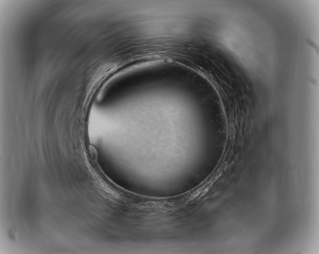 X0000095960049200801111411