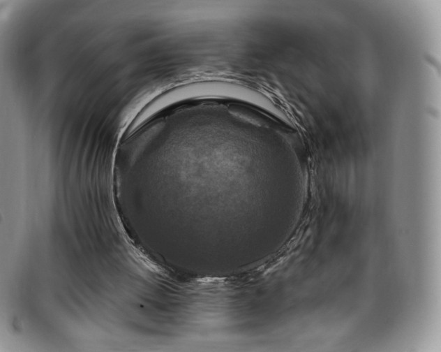 X0000095960052200801111411