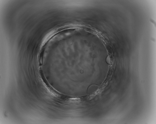 X0000095960053200801111411