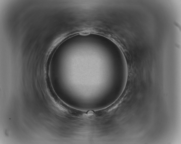 X0000095960055200801111411