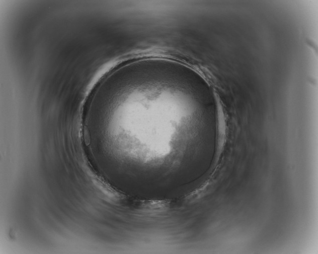 X0000095960056200801111411