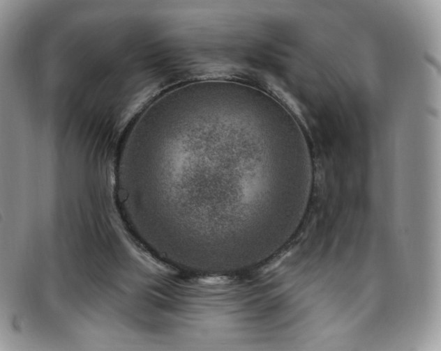 X0000095960059200801111411