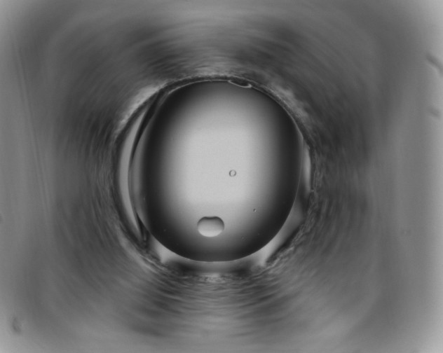 X0000095960060200801111411