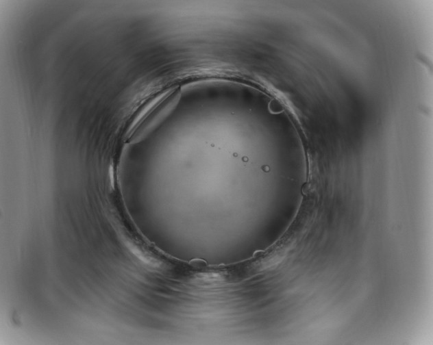 X0000095960061200801111411