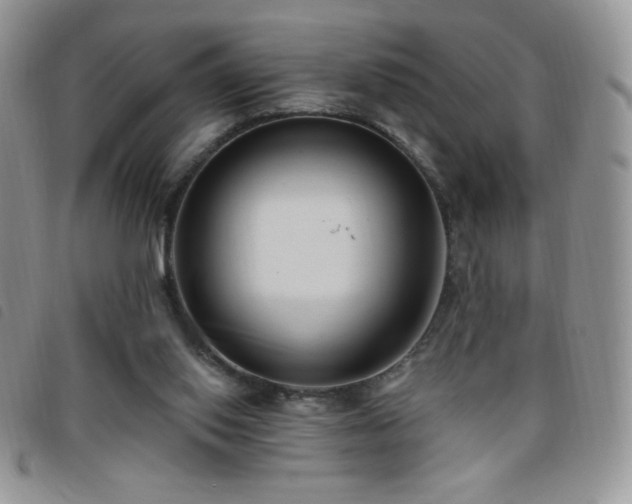 X0000095960062200801111411