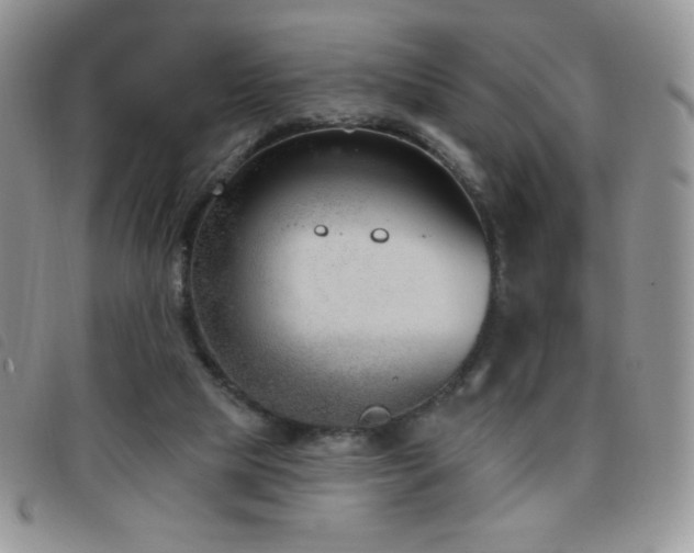 X0000095960065200801111411