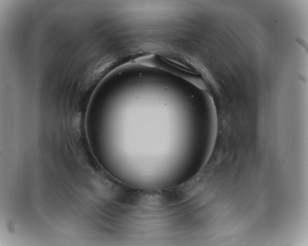X0000095960066200801111411