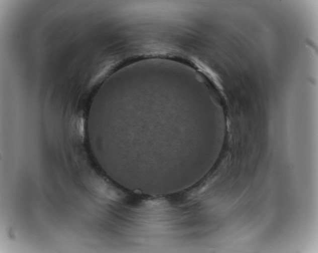 X0000095960067200801111411