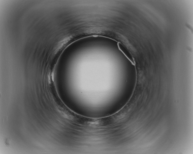 X0000095960068200801111411