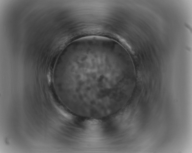 X0000095960069200801111411