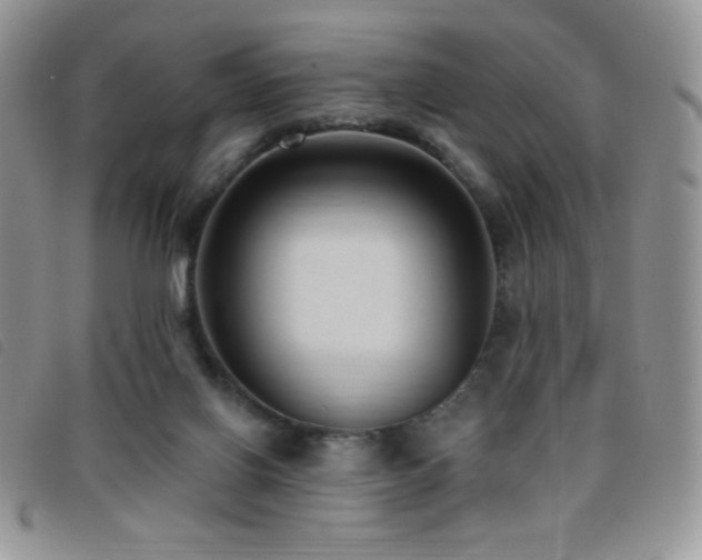 X0000095960070200801111411