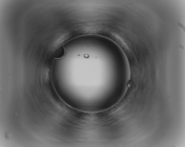 X0000095960071200801111411