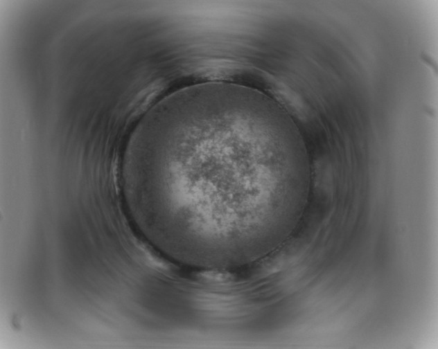 X0000095960073200801111411