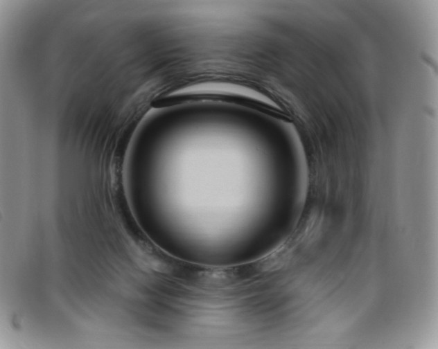 X0000095960074200801111411