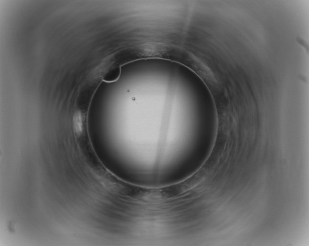 X0000095960075200801111411