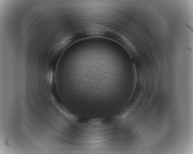X0000095960076200801111411
