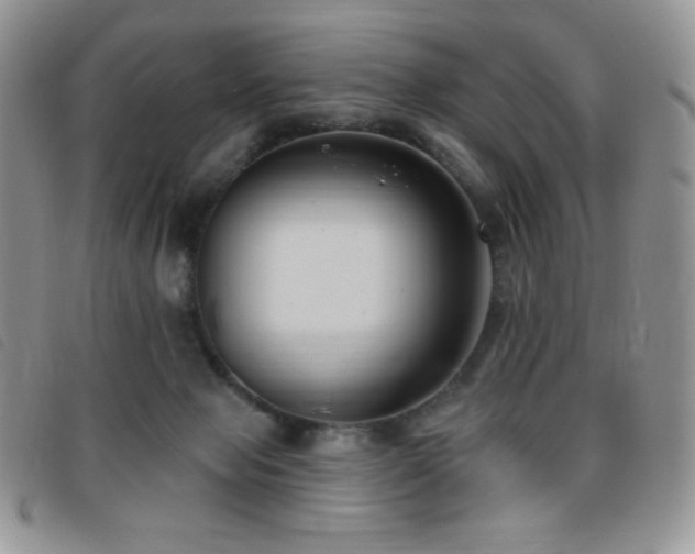 X0000095960077200801111411