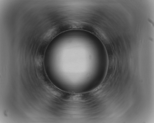 X0000095960078200801111411