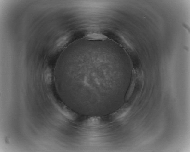 X0000095960080200801111411