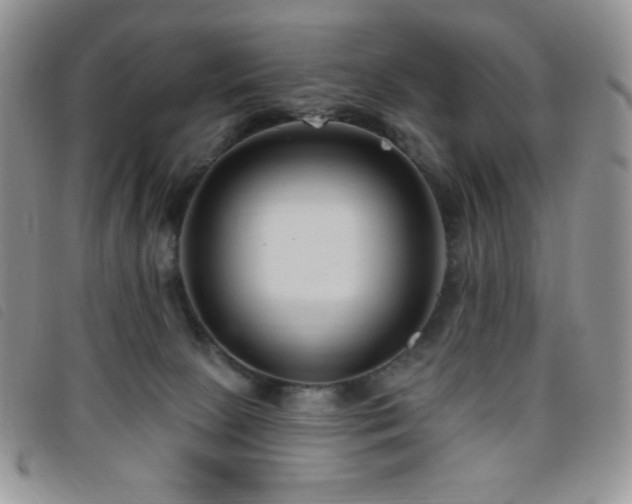 X0000095960081200801111411