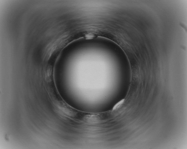 X0000095960082200801111411