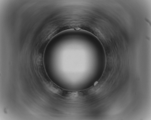 X0000095960083200801111411