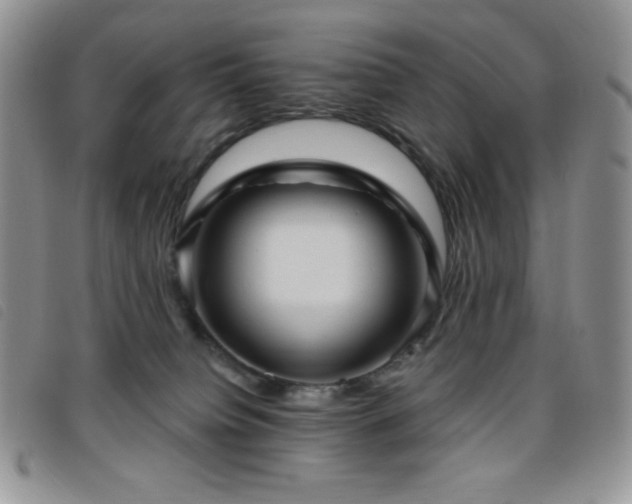 X0000095960084200801111411