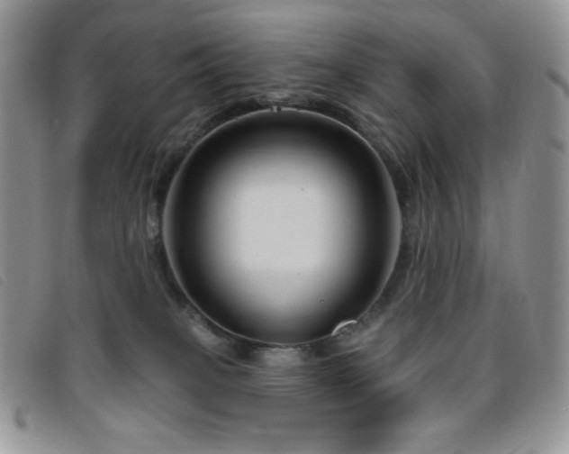 X0000095960085200801111411