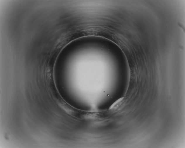 X0000095960086200801111411