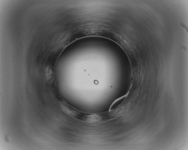 X0000095960087200801111411
