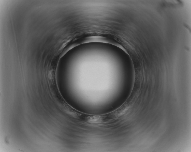 X0000095960088200801111411