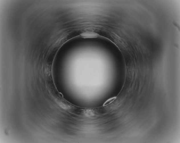 X0000095960091200801111411