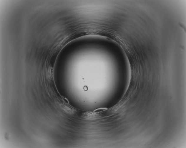 X0000095960093200801111411