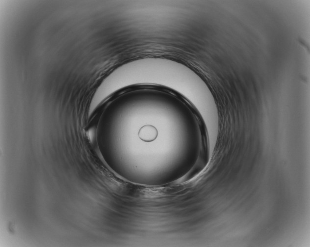 X0000095960094200801111411