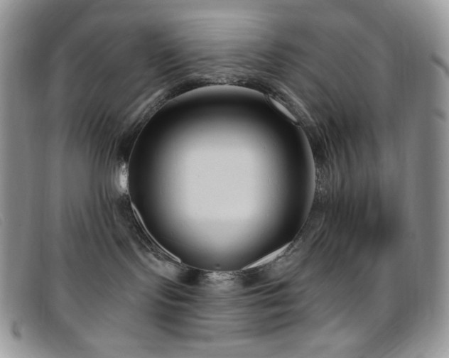 X0000095960095200801111411