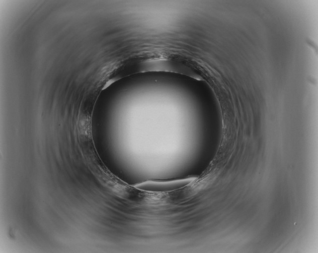 X0000095960096200801111411