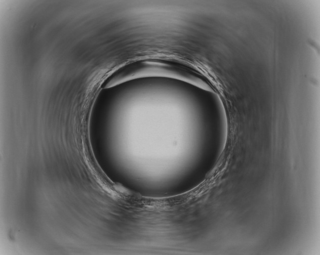 X0000095960097200801111410