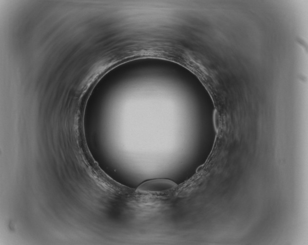 X0000095960098200801111410