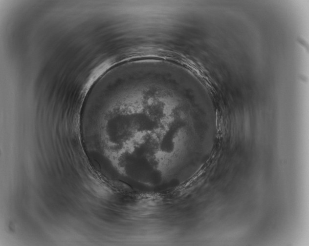 X0000095960099200801111410
