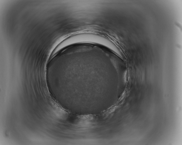 X0000095960100200801111410