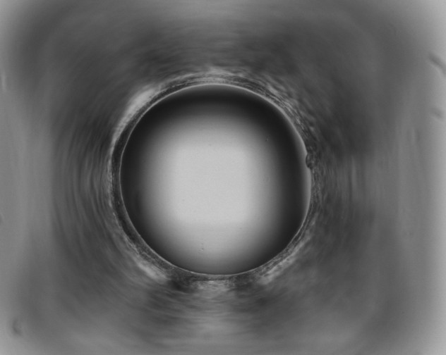 X0000095960102200801111410