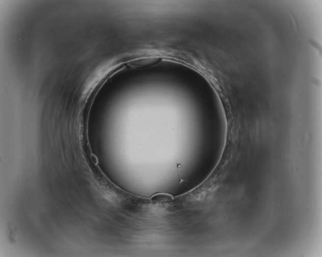 X0000095960103200801111410