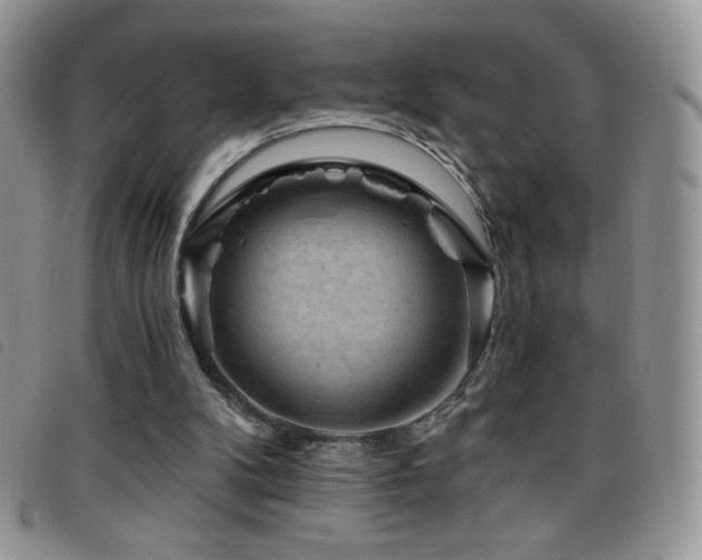 X0000095960104200801111410