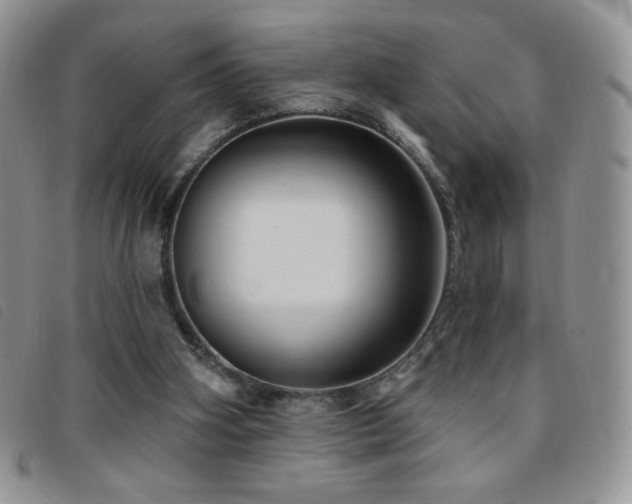 X0000095960106200801111410