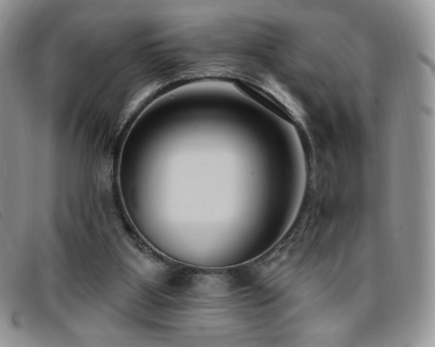 X0000095960107200801111410