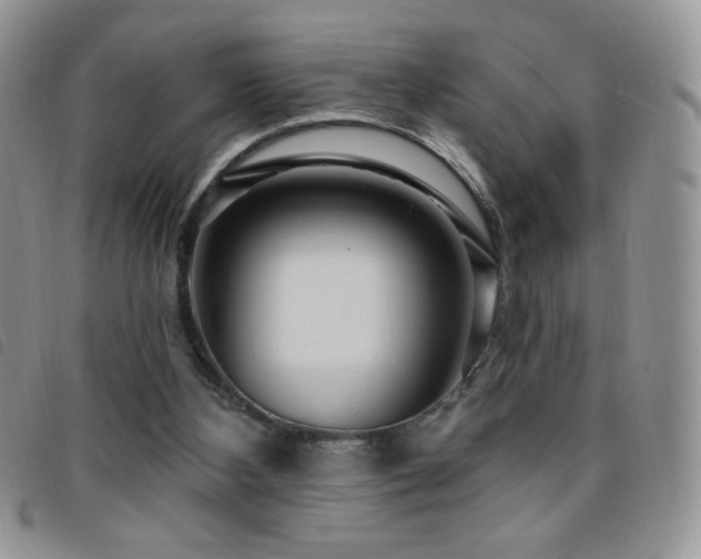 X0000095960108200801111410